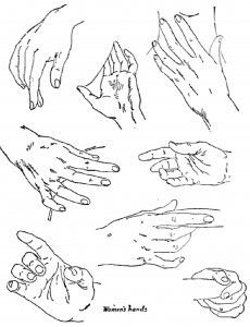 Hands Drawn in Different Positions and Poses