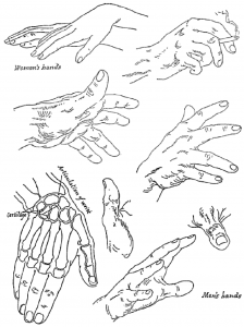Learn how to draw hands