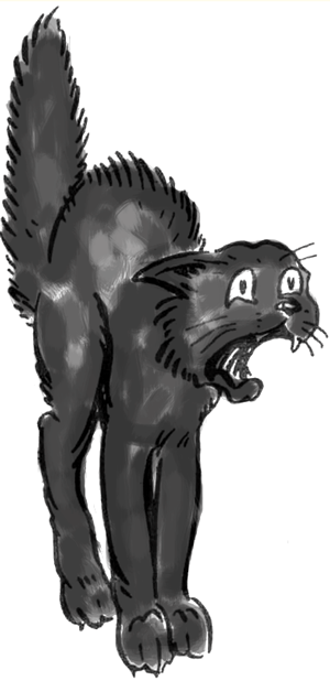 How to draw a Scared Black Cat with easy step by step drawing tutorial How to draw a Scared Black Cat with easy step by step drawing tutorial