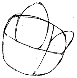 Step 1 : Drawing Daxter from the Jak and Daxter Easy Steps Lesson Step 1 : Drawing Daxter from the Jak and Daxter Easy Steps Lesson