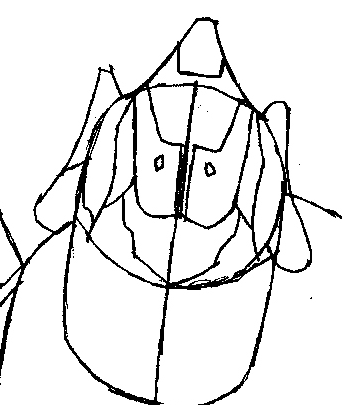 Step 6 : Drawing The Elite from Halo Easy Steps Lesson Step 6 : Drawing The Elite from Halo Easy Steps Lesson