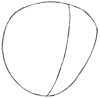 Step 1 : Drawing Bruce from Finding Nemo Easy Steps Lesson Step 1 : Drawing Bruce from Finding Nemo Easy Steps Lesson