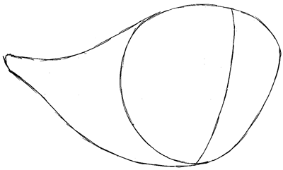 Step 2 : Drawing Bruce from Finding Nemo Easy Steps Lesson Step 2 : Drawing Bruce from Finding Nemo Easy Steps Lesson