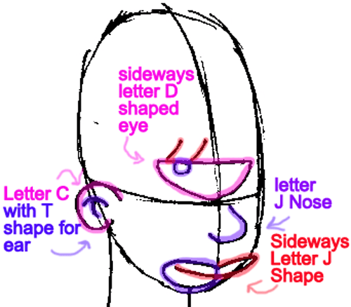 Step 5 : Drawing Leela from Futurama Easy Steps Lesson