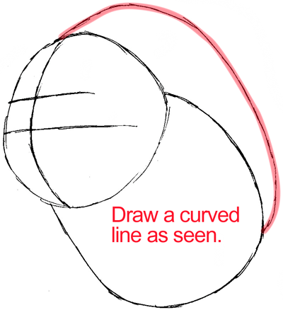 Step 3 : Drawing Shaymin from Pokémon in Easy Steps Lesson