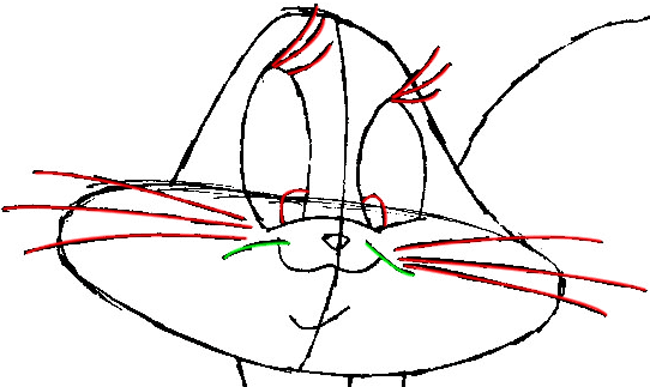 Step 6b : Drawing Penelope Pussycat from Looney Tunes in Easy Steps Lesson