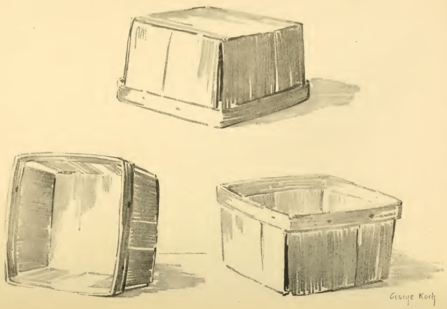 Above are several sketches may be made of a strawberry basket in various positions