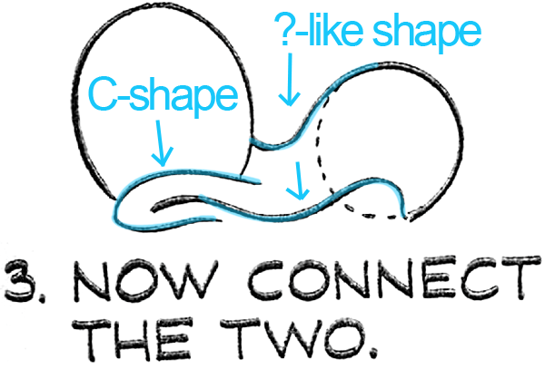 Now connect the 2 ovals as seen above.