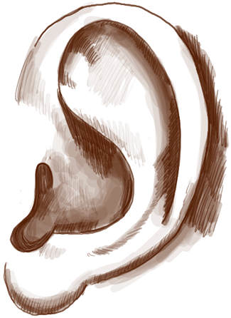 How to Draw Ears Side View with Easy Steps Tutorial