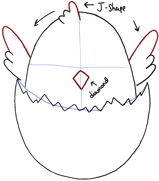 step05-color-baby-chick-in-egg