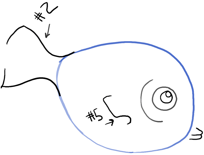 step04-bw-how-to-draw-fish-for-kids
