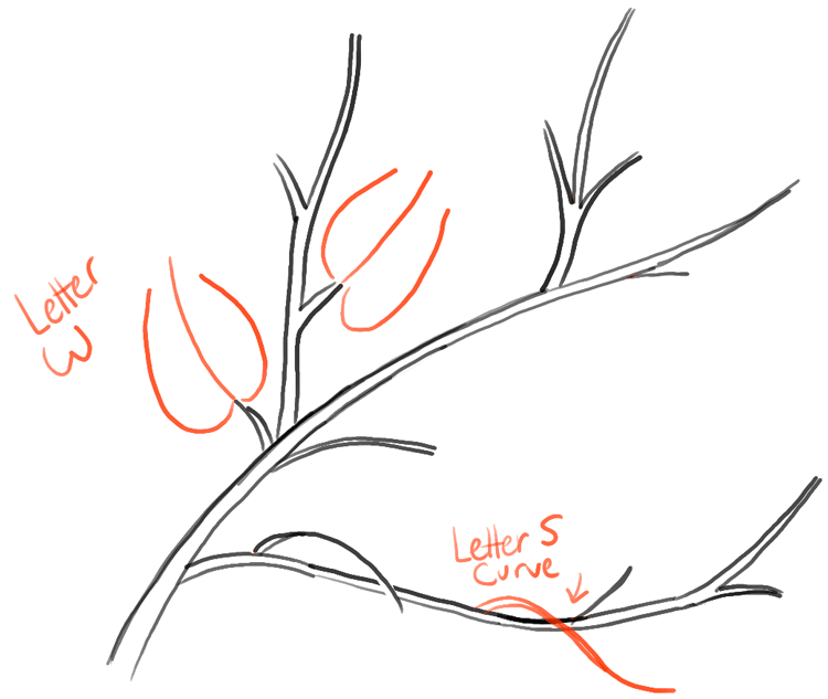 step05-tree-branches-full-of-leaves