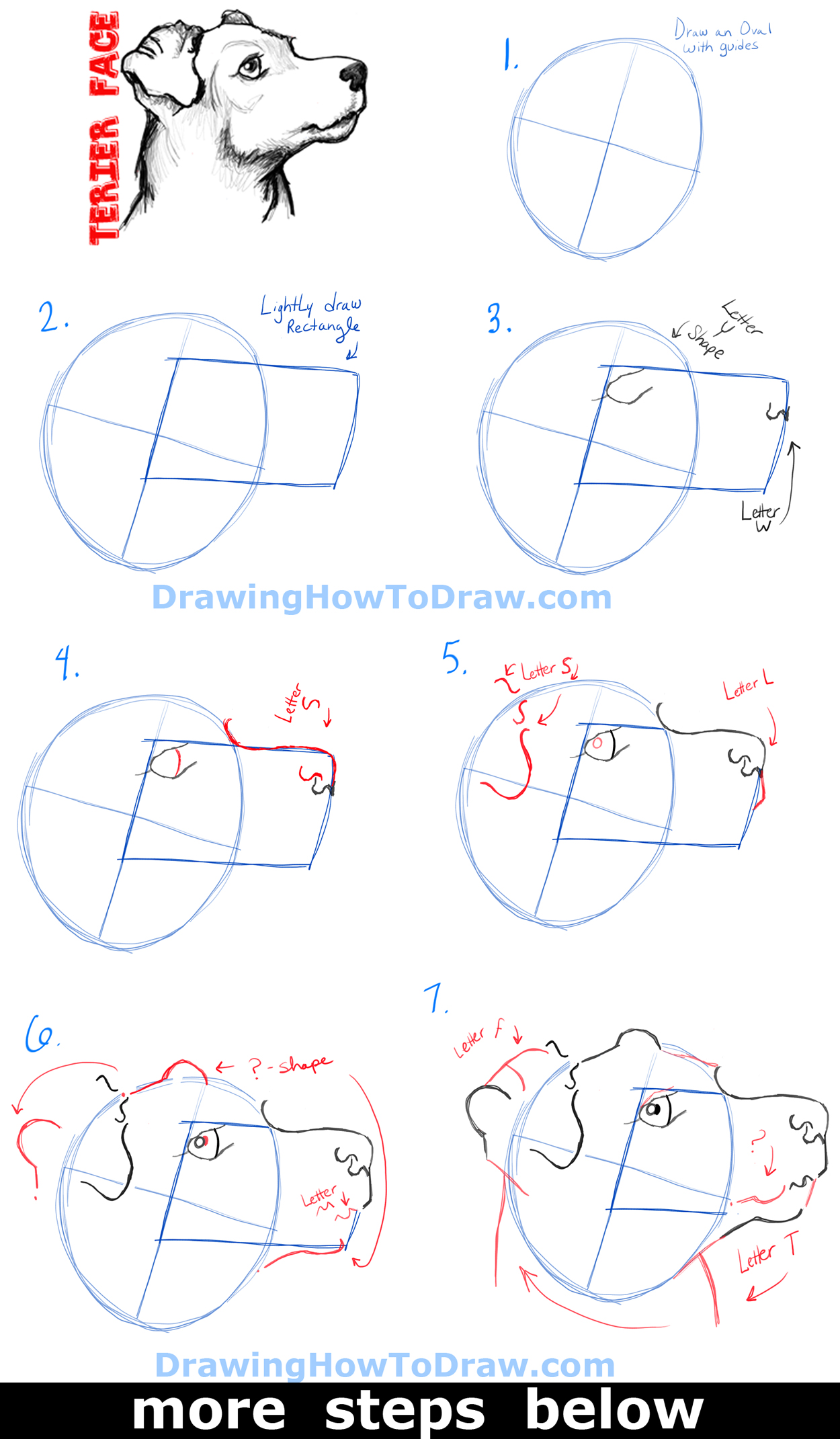 How to Draw a Terrier's Face / Dog's Face with Easy Steps