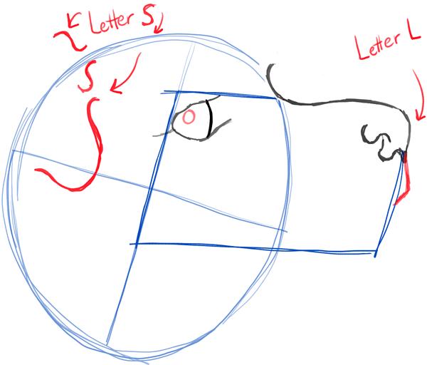 step05-howtodraw-realistic-terrier-dog-face