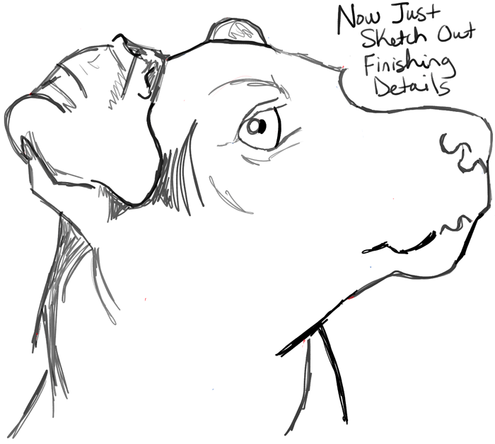 step09-howtodraw-realistic-terrier-dog-face