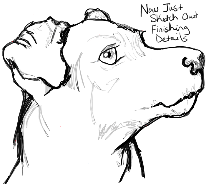 step10-howtodraw-realistic-terrier-dog-face