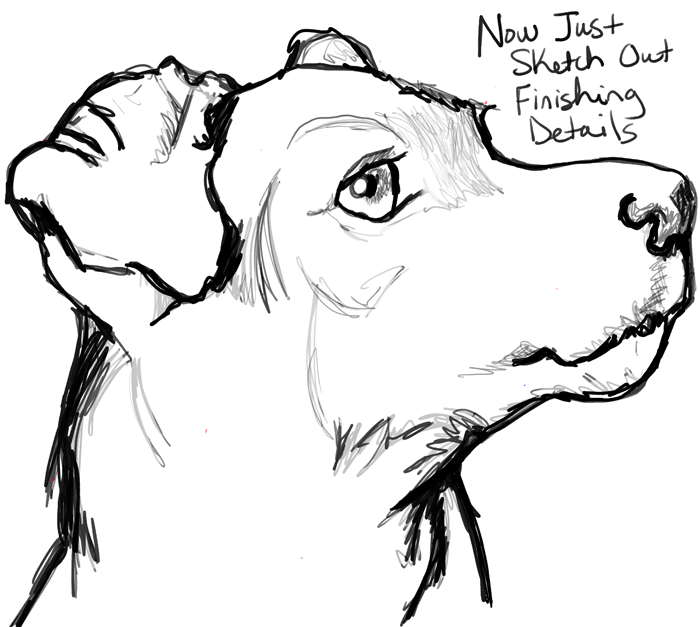 step11-howtodraw-realistic-terrier-dog-face