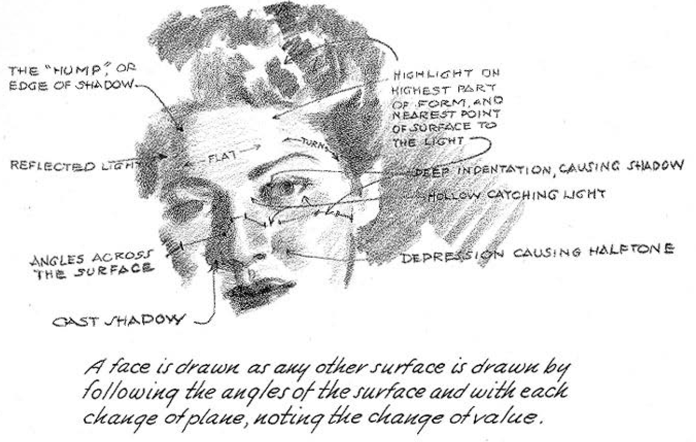 How to add light and shadows to the human face