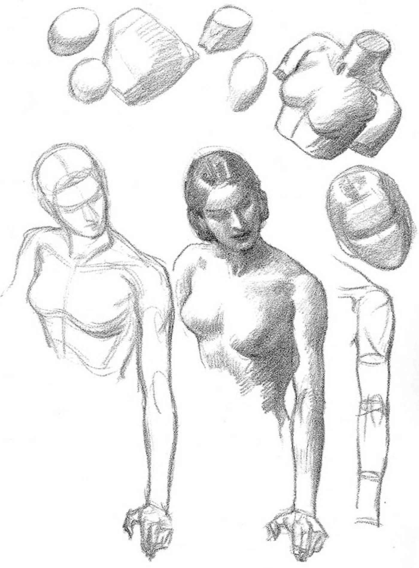 adding light and shadows to the human form and body