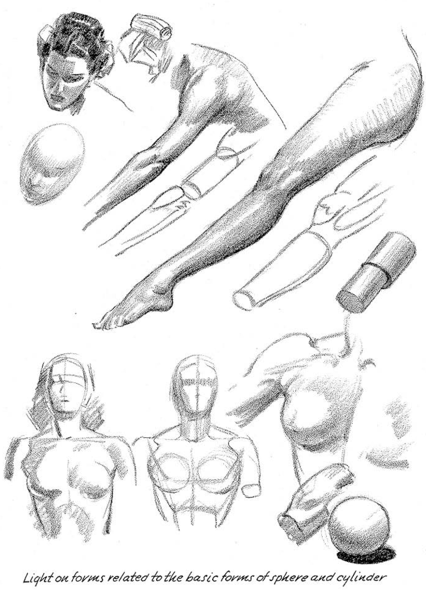 adding light and shadows to the human form and body