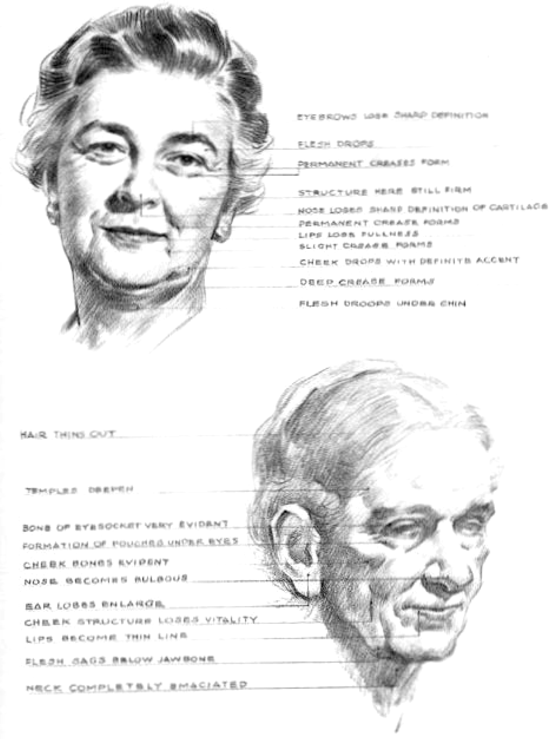 how to draw old elderly aging women's faces