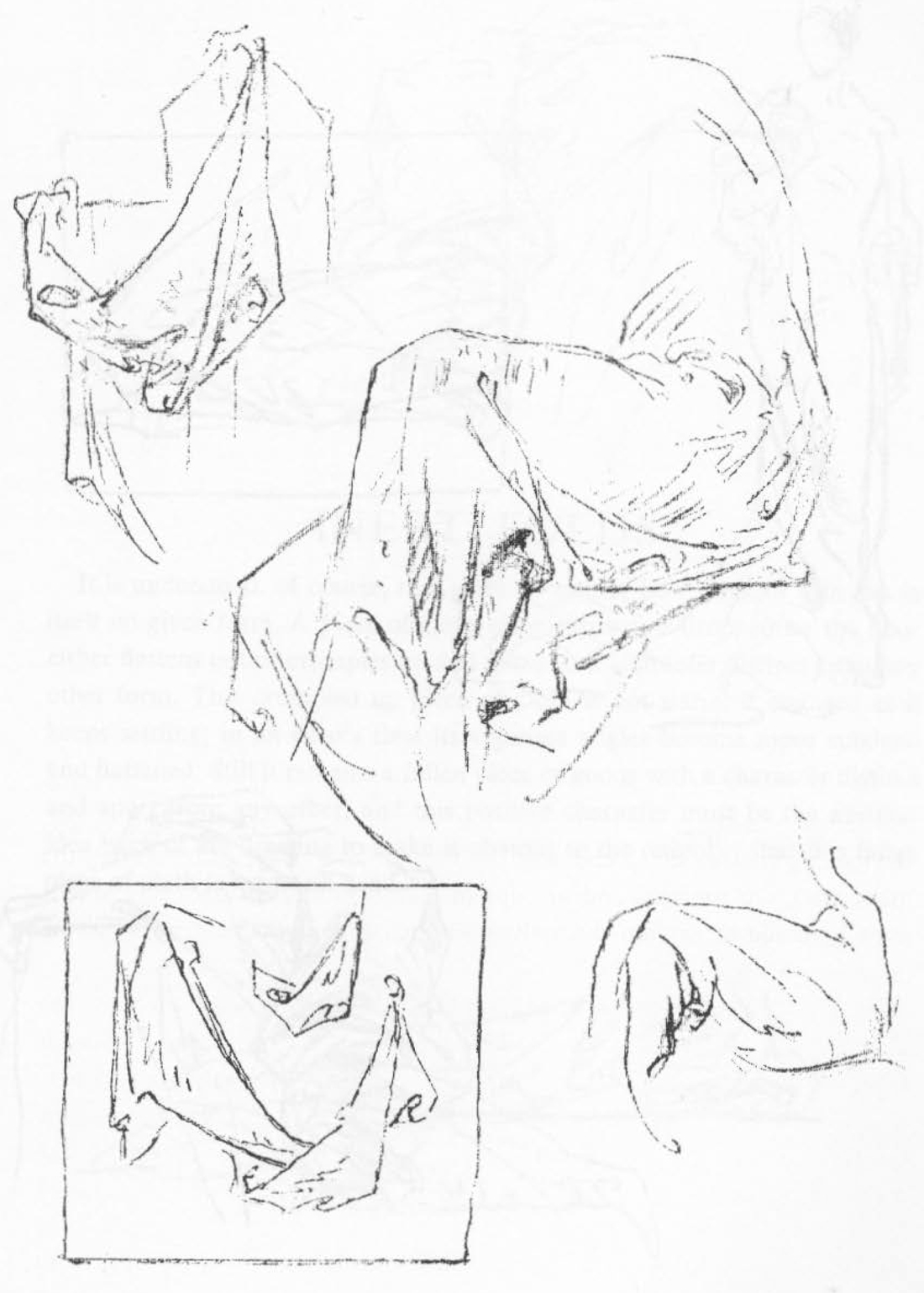 Drawing Halflock Folds