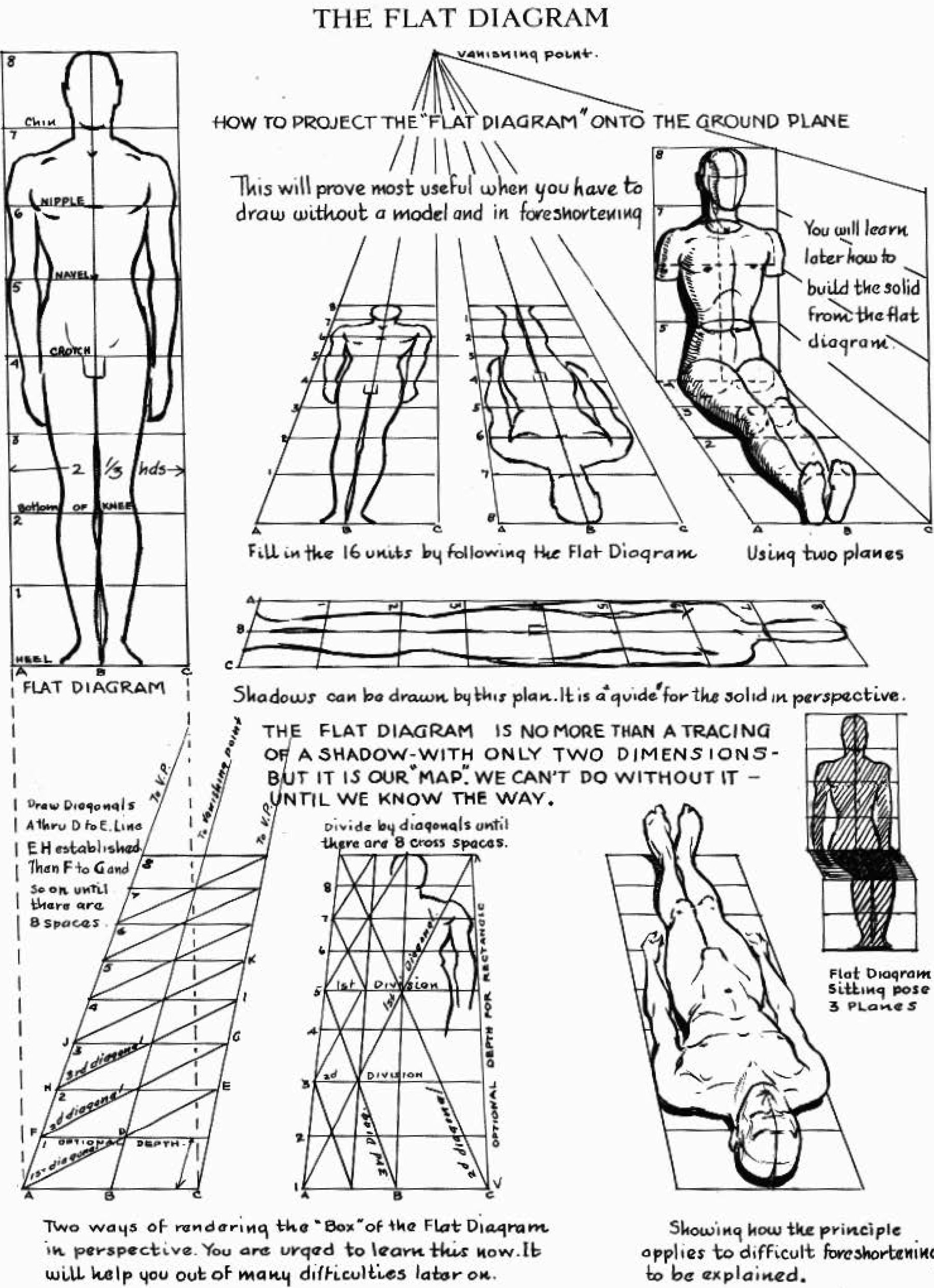 flat-diagram-human-body-perspective-drawing