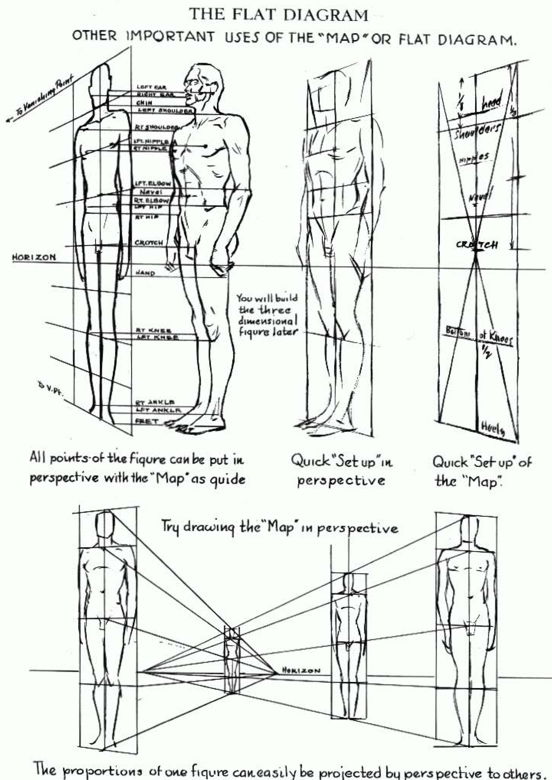 flat-diagram2-human-body-perspective-drawing