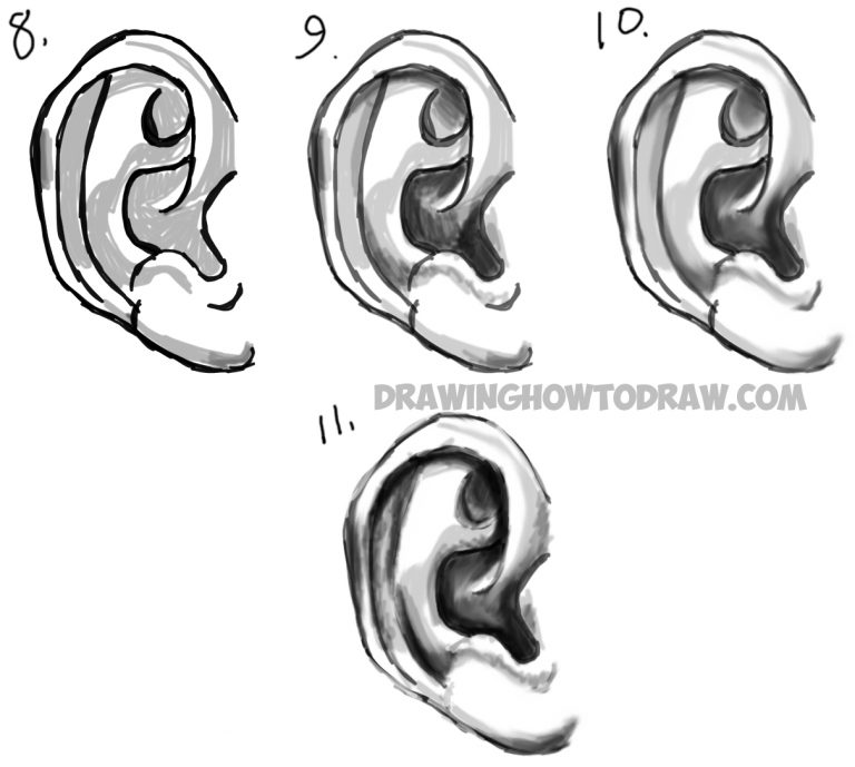 Learn How to Draw Ears and How to Shade Them : Drawing and Shading Ears ...