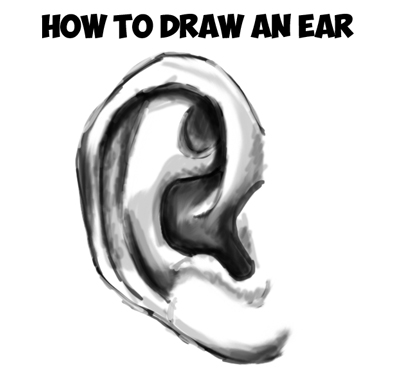 how to draw ears step by step drawing tutorial