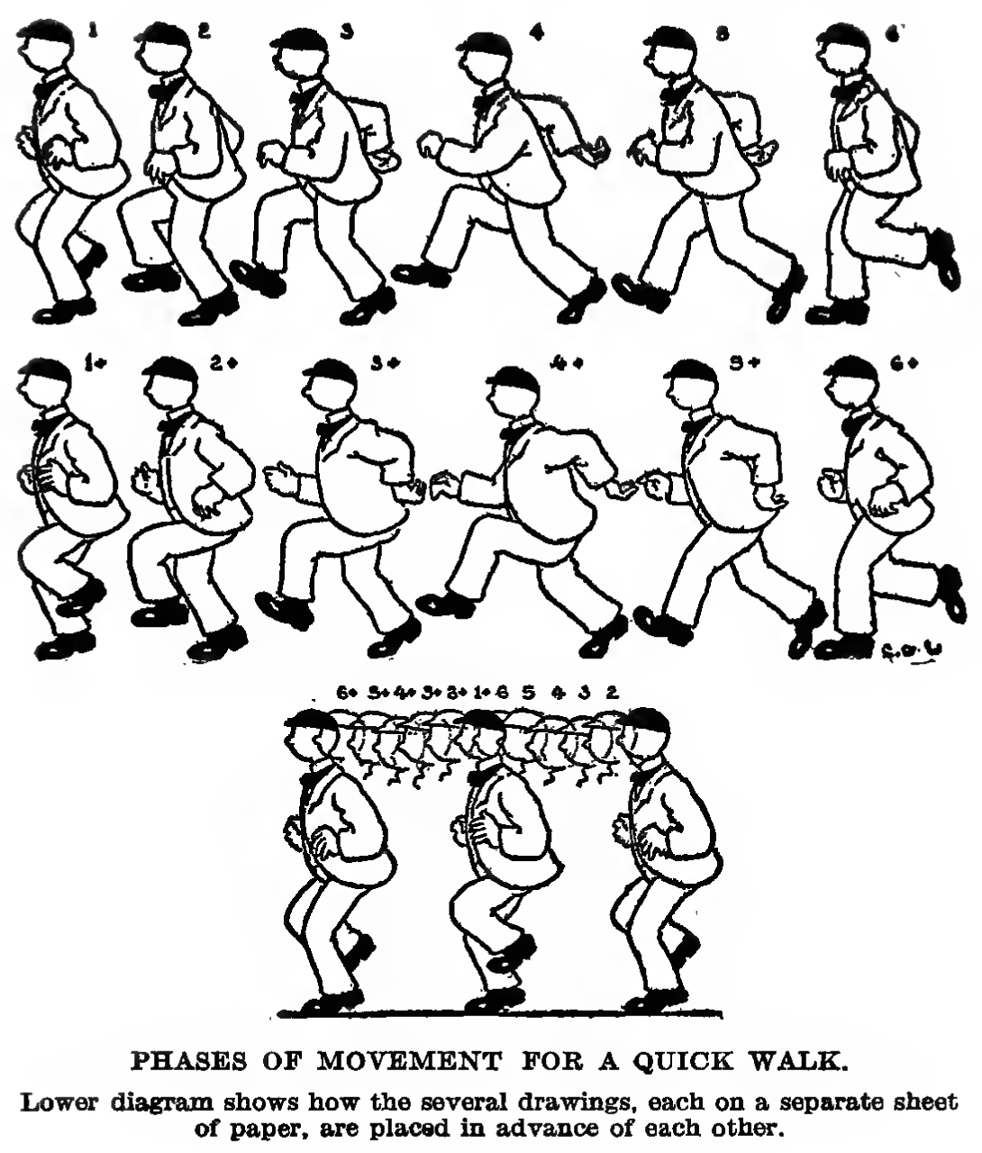 how to draw a quick walk - phases of movement