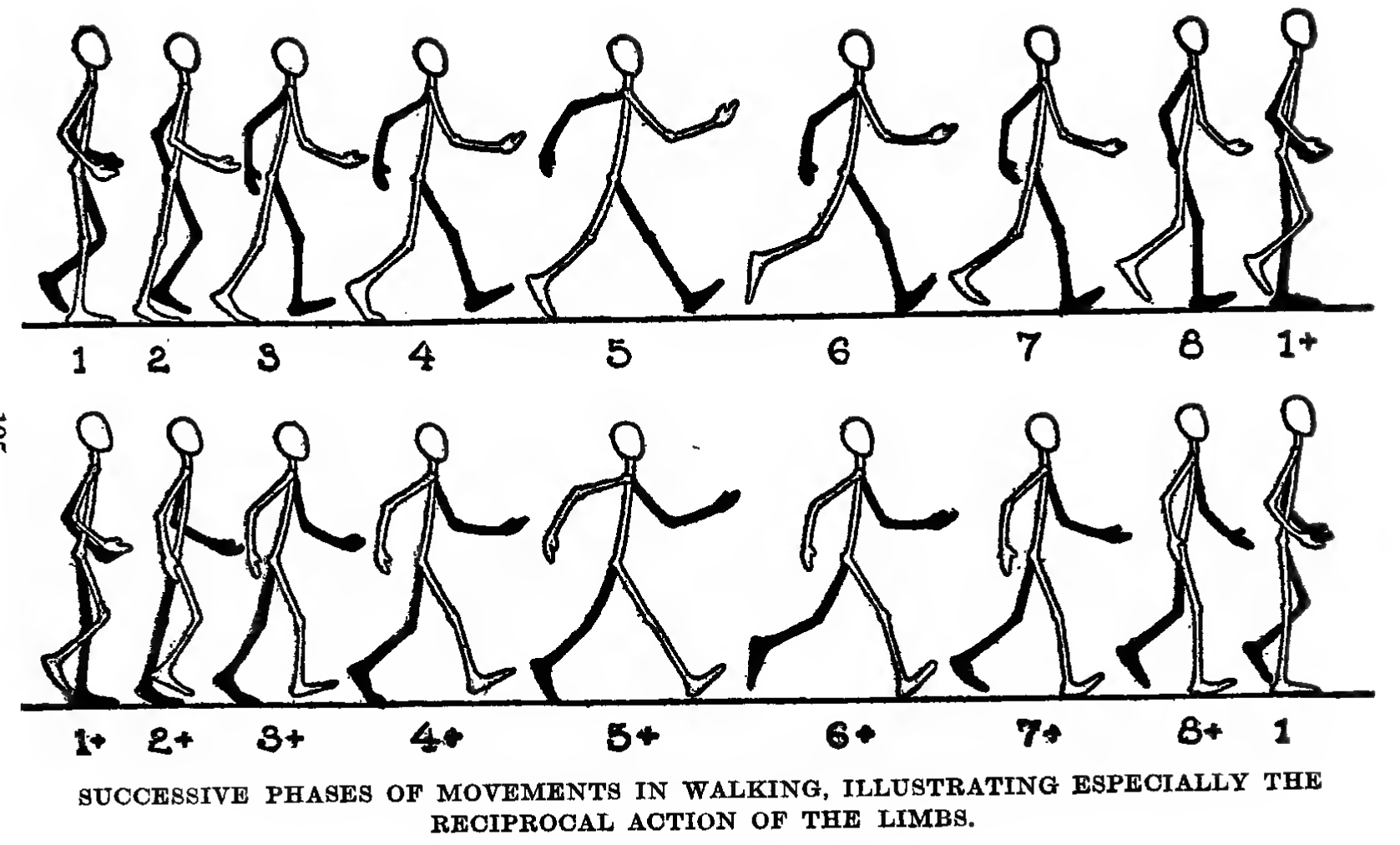 howtodraw-figures-people-walking-03