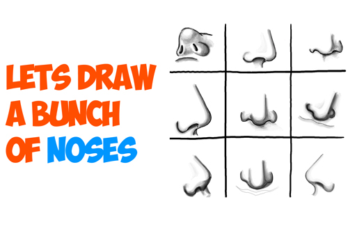 How to Draw Noses from All Different Angles and Positions - Step by Step Drawing Tutorial