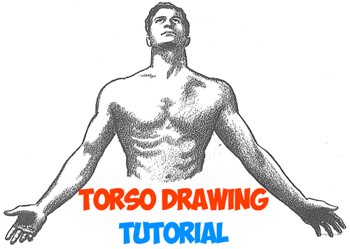 How to Draw the Human Torso and Chest - Body Figure Drawing Tutorial