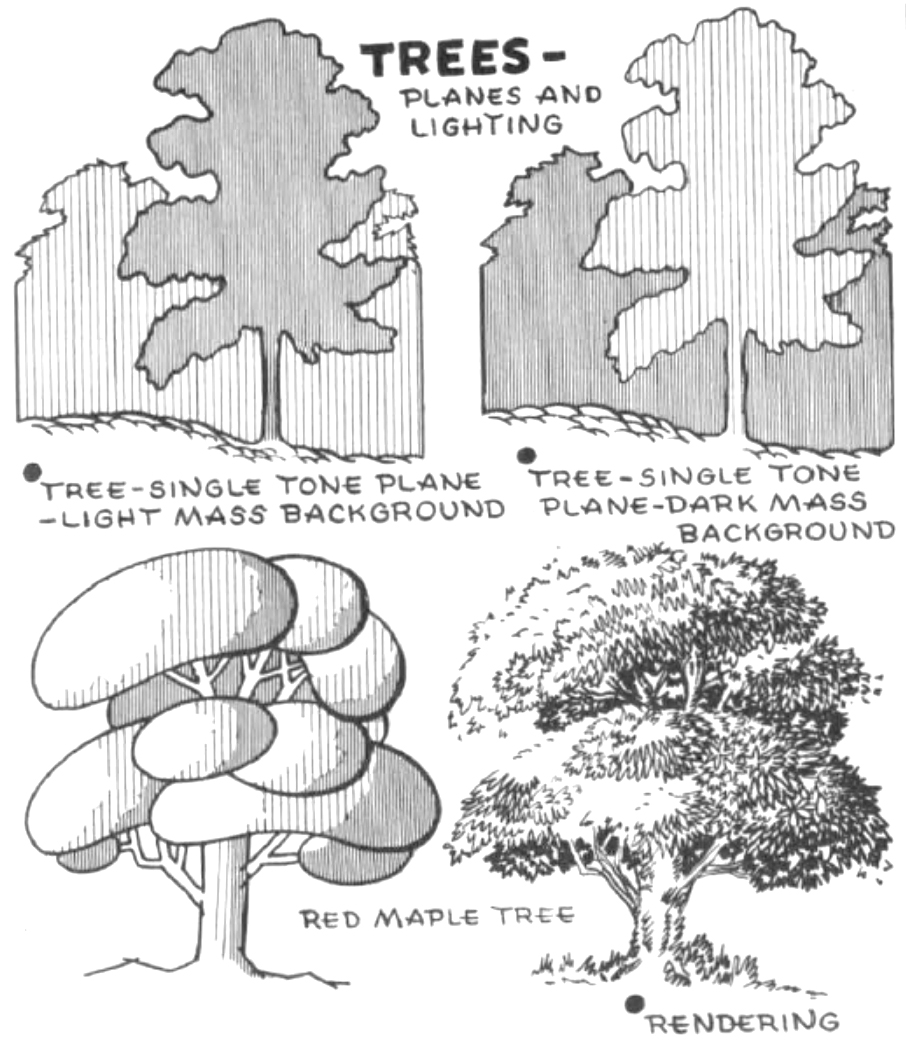 how to draw trees with basic shapes