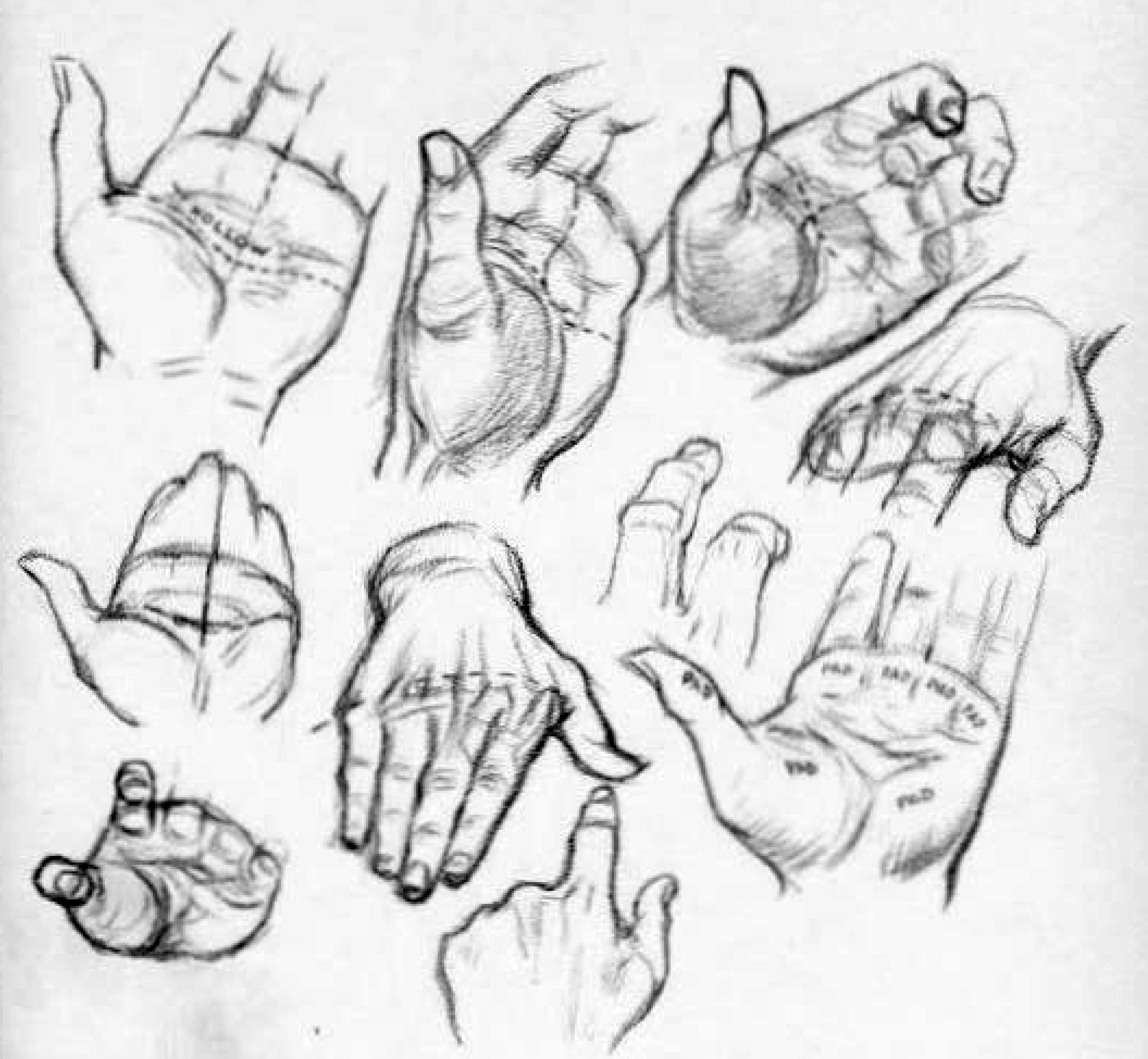How to draw the palms of the hands or the hollows of the palms