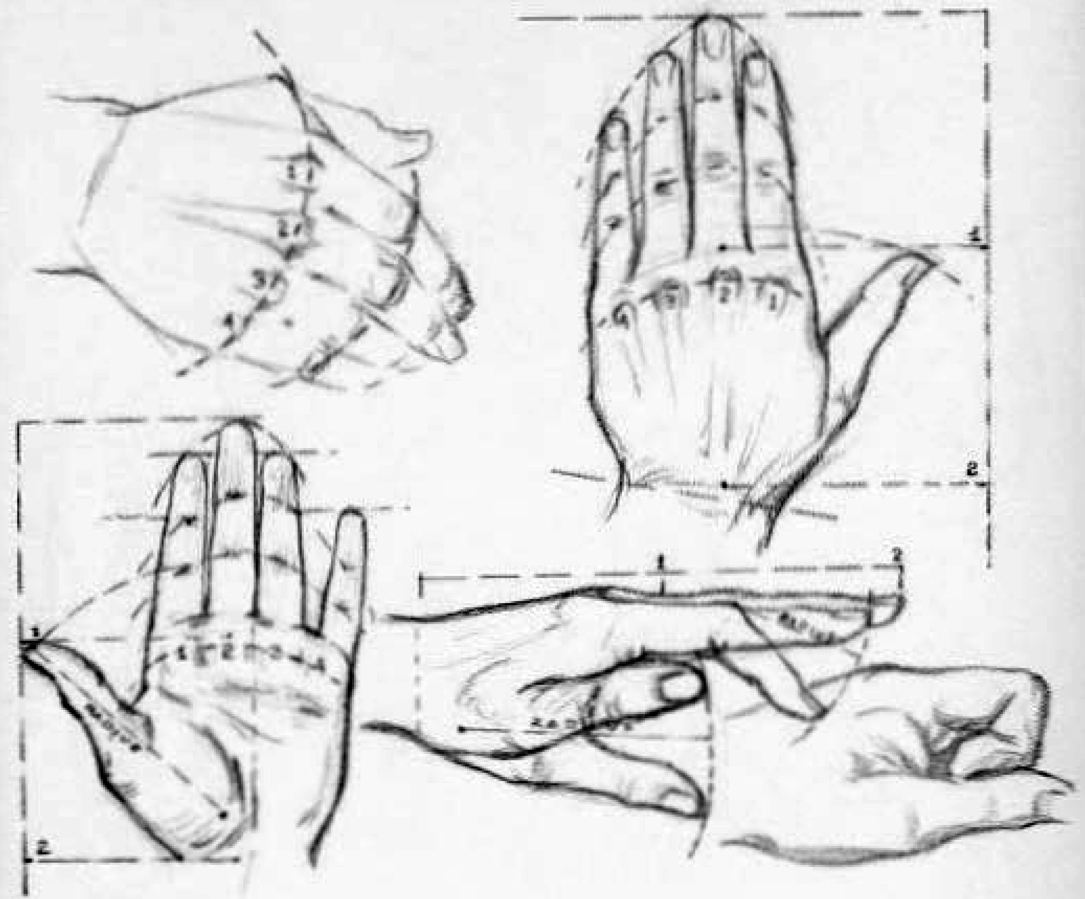 Drawing the proportions of the human hand - drawing proportional hands
