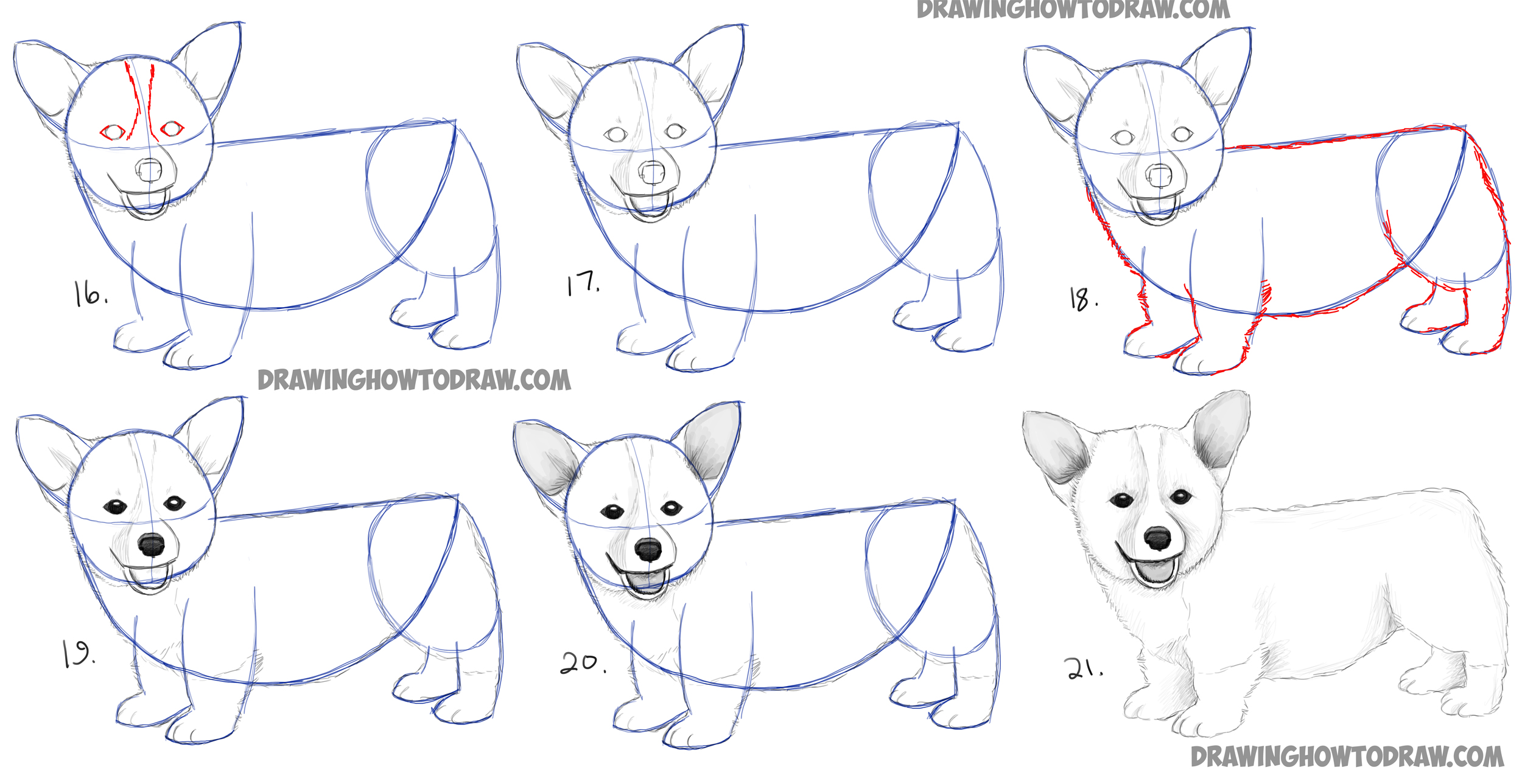 Learn How to Draw a Corgi Puppy Simple Steps : How to Draw Dogs and Puppies Drawing Lesson for Beginners