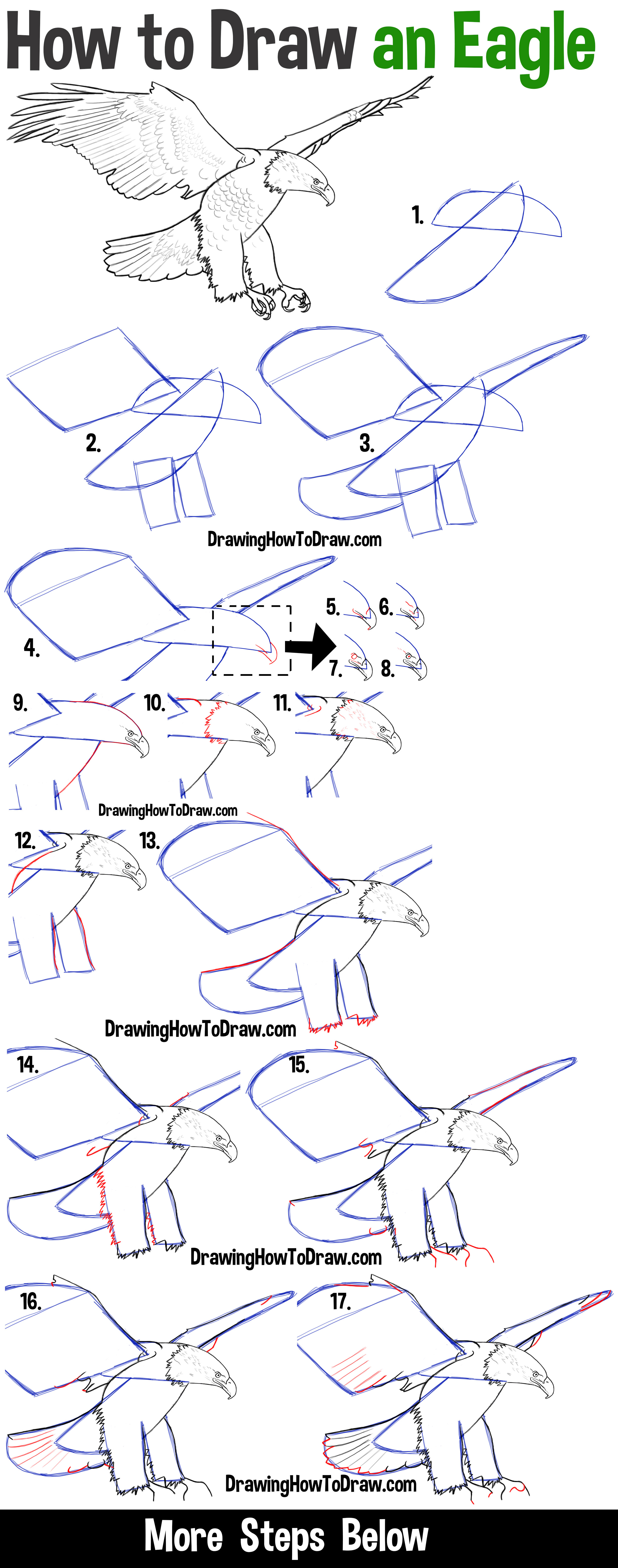 Learn How to Draw an American Eagle Step by Step Drawing Tutorial for Beginners