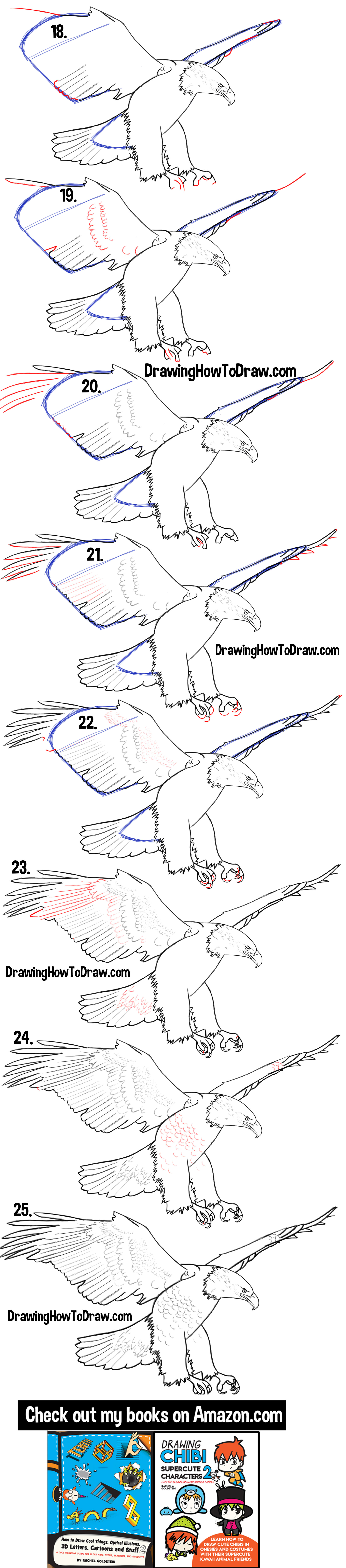 Learn How to Draw an American Eagle with easy Step by Step Drawing Lesson